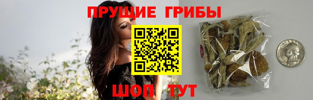 Галлюциногенные грибы Magic Shrooms  Вход с VPN  Чистополь 