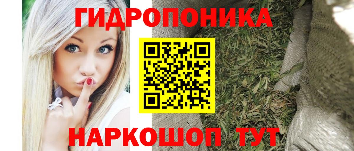 Бошки марихуана OG Kush Чистополь
